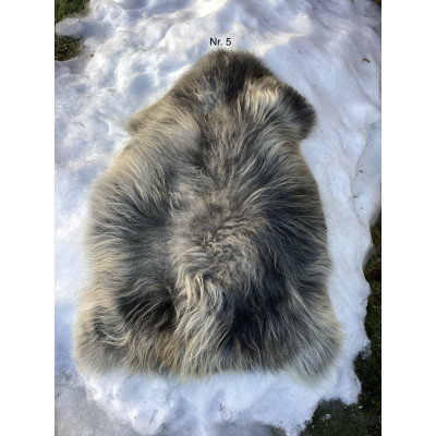 Isländskt mufflon fårskinn nr 5